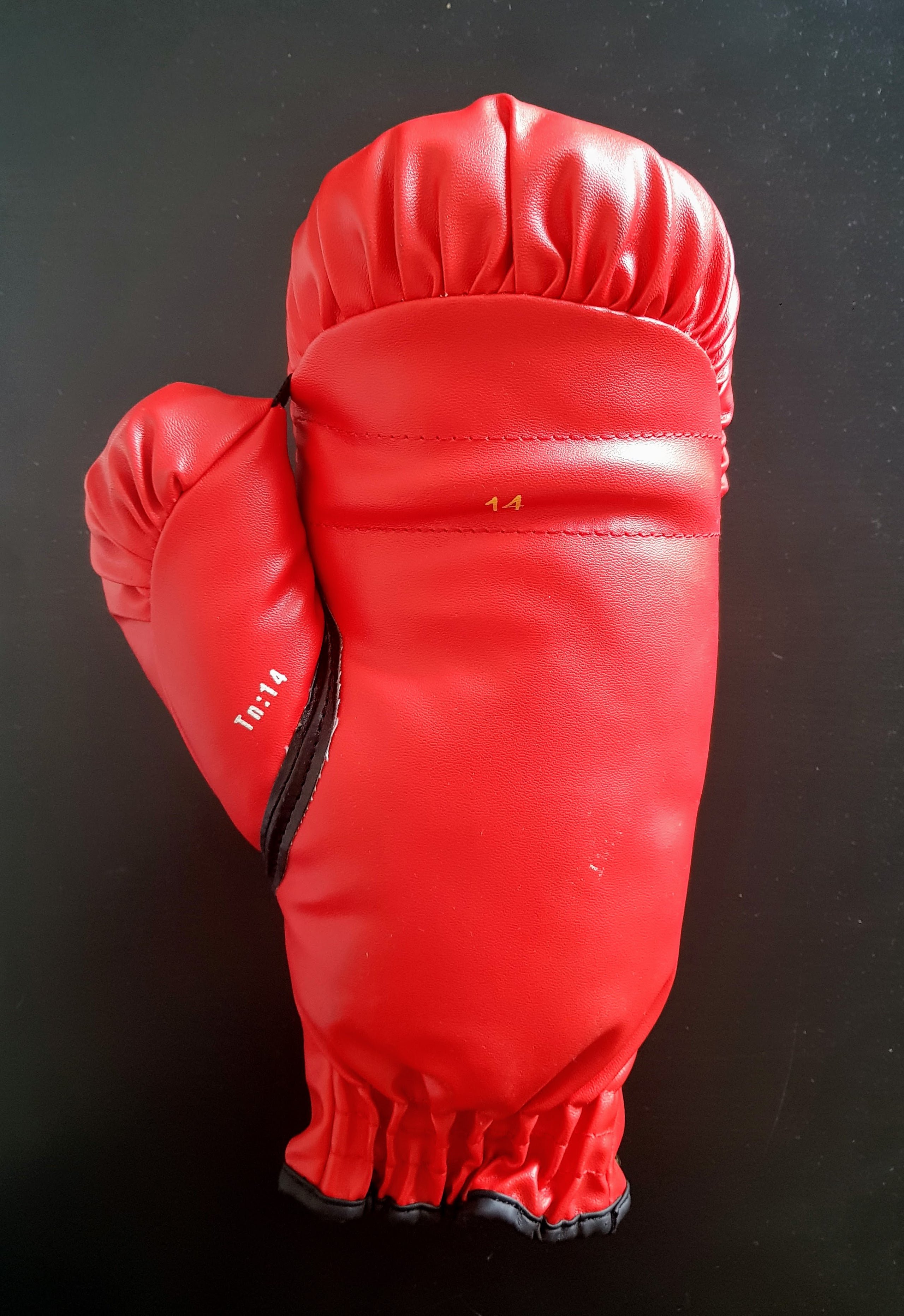 Evander Holyfield signed boxing glove